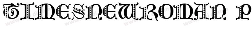 TIMESNEWROMAN PS BOL字体转换